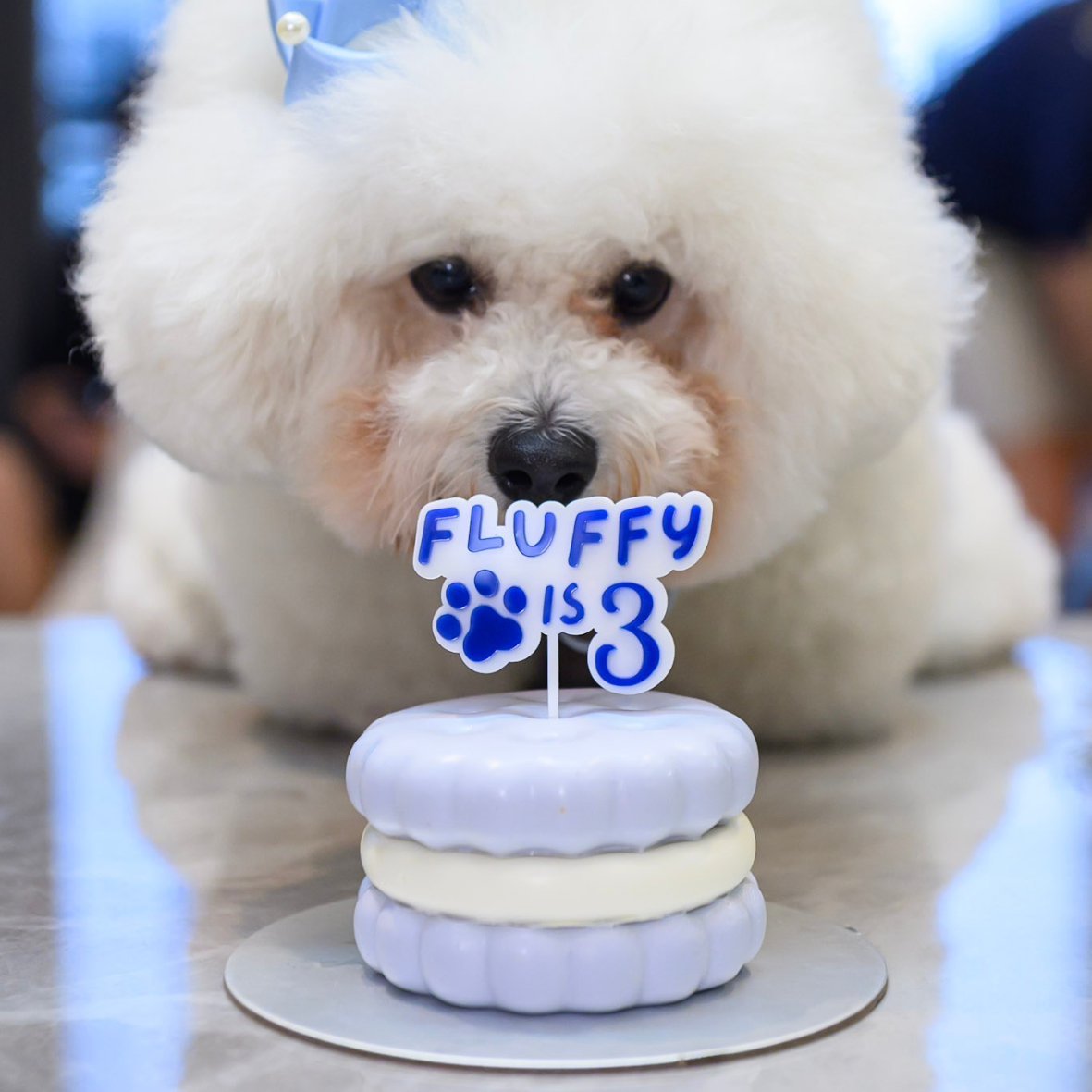 Pet Name & Age Cake Topper - Simplicity Days