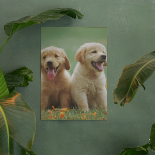 Customised A5 A4 A3 Poster/Photos Printing - Simplicity Days